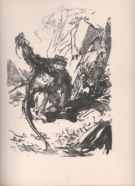 Cento favole - Ivan A. Krylov - 3