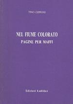 Nel fiume colorato. Pagine per Maffi