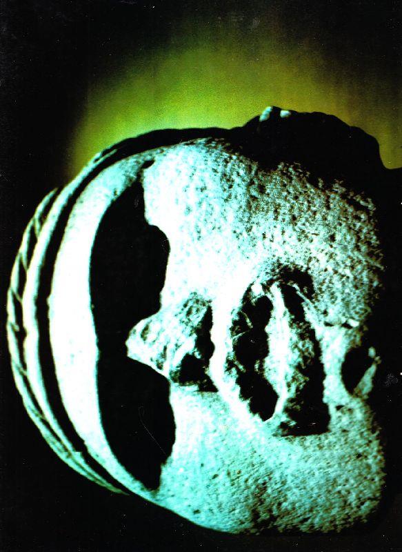 Studio Bibliografico Marini