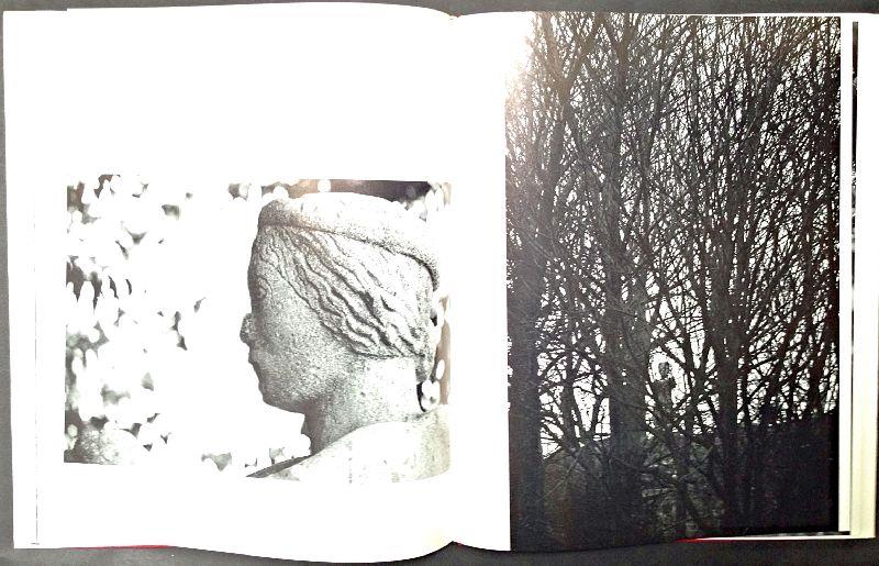 La Donnina di Milano