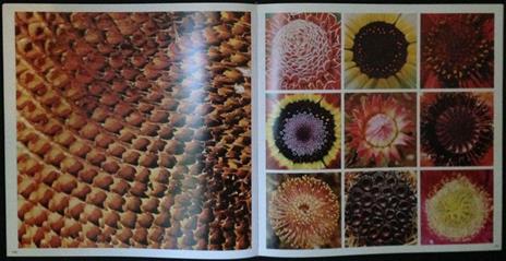 Il terzo occhio sulla natura - Mario De Biasi - 3