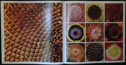 Il terzo occhio sulla natura - Mario De Biasi - 3