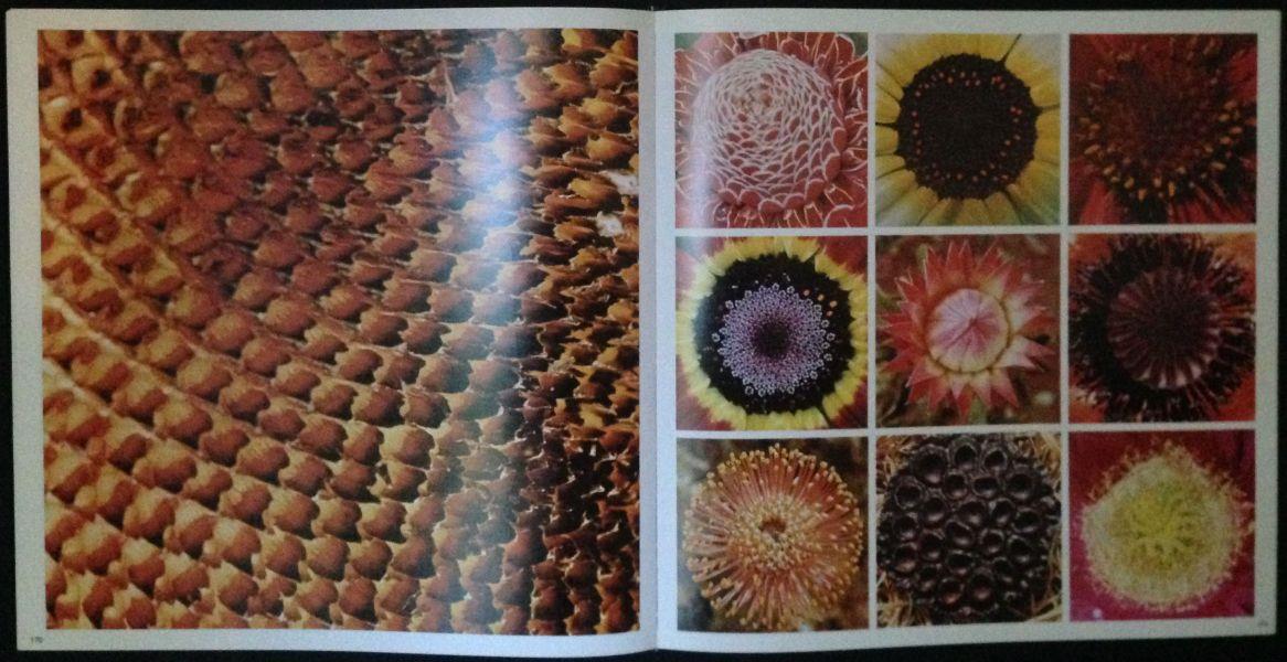 Il terzo occhio sulla natura