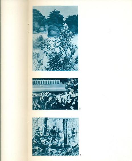 Velvet Jungle. Jacques Monory - Jacques Monory - 2