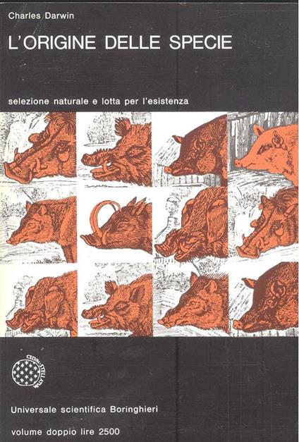 L' origine della specie - Darwin Charles - copertina