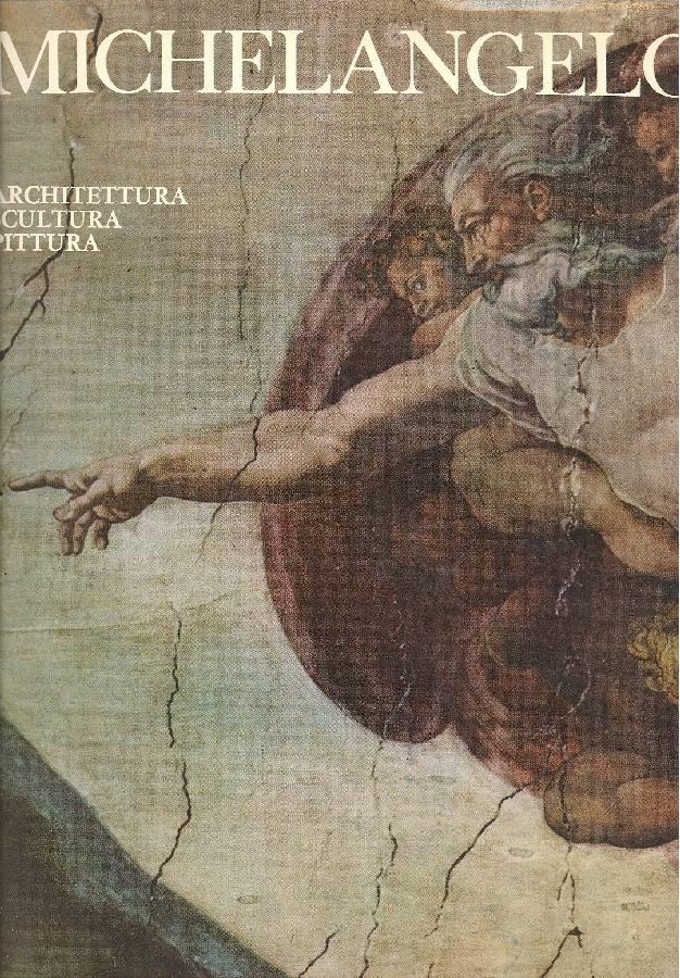 Michelangelo. Architettura. Pittura. Scultura
