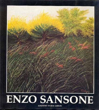 Enzo Sansone - Benvenuto Darti - copertina