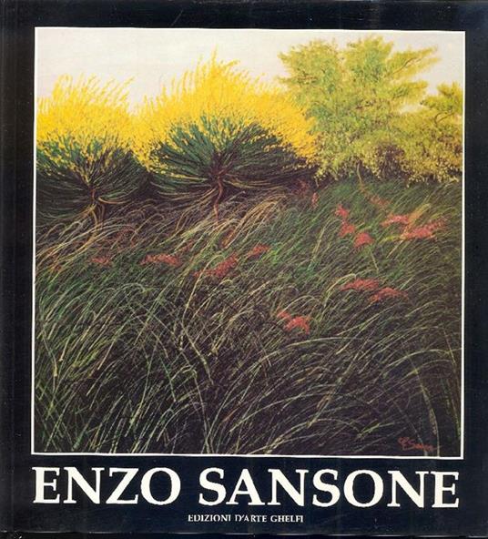 Enzo Sansone - Benvenuto Darti - copertina