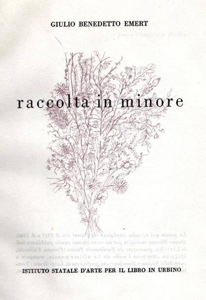 Raccolta in minore. Poesie - Giulio Benedetto Emert - copertina