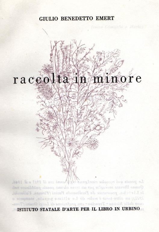 Raccolta in minore. Poesie - Giulio Benedetto Emert - copertina