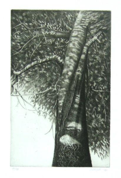 Studio Bibliografico Marini