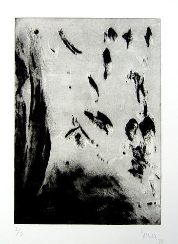 Peregrino da noite - Anrique Paco D'Arcos - 10