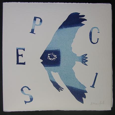 Pesci - Albert de Routisie - 3