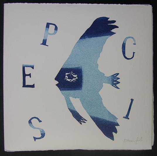 Pesci - Albert de Routisie - 3