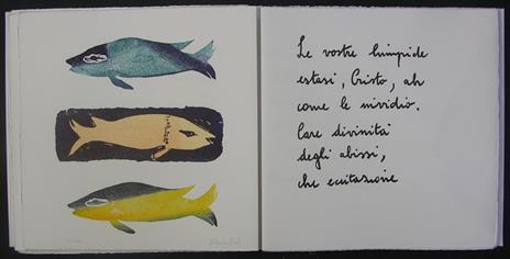 Pesci - Albert de Routisie - 8