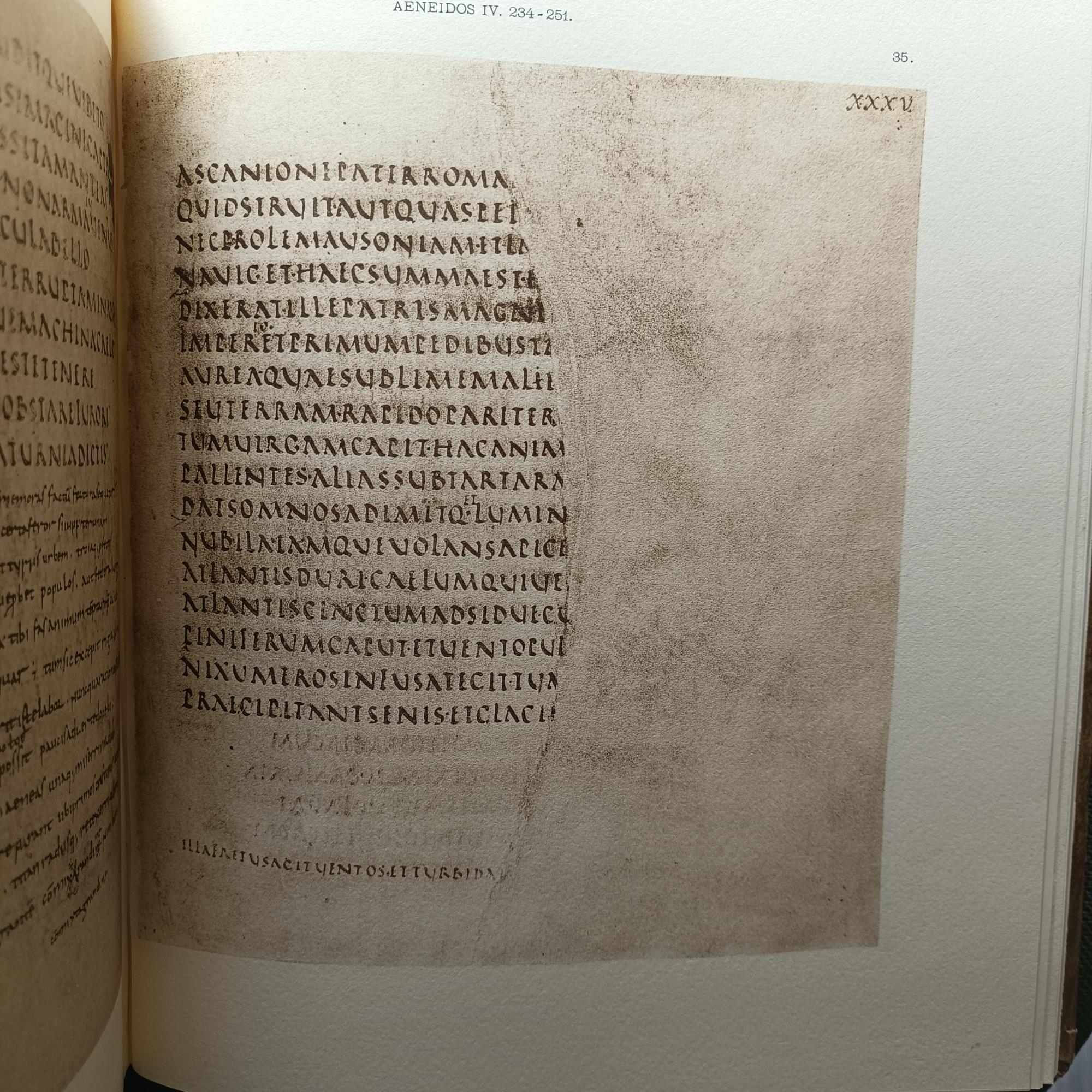 Fragmenta et picturae vergiliani codicis vaticani latini 3225. (rist. anast.)