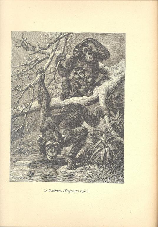 La storia naturale illustrata. I mammiferi - Carl Vogt - 2