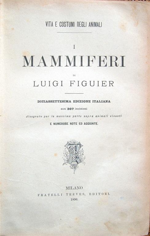 Libreria Antiquaria Mazzei
