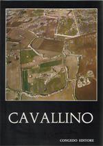 Cavallino. Scavi e ricerche (1964-1967)