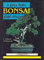 I più bei bonsai del mondo