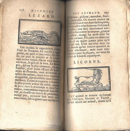Histoire des animaux, a l'usage des jeunes gens, et de ceux qui ont du gout pour l'Histoire Naturelle. Nouvelle edition, ornée de 200 figures - Anonimo - copertina