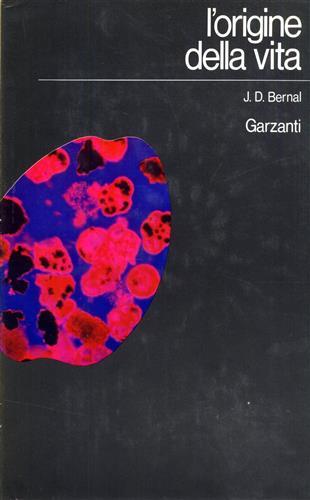 L'Odissea Libri e Arte