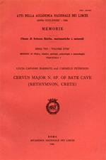Cervus major N. Sp. of Bate Cave ( Rethymnon, Crete )