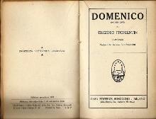 Domenico - Eugéne Fromentin - copertina