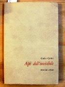 Api dell'invisibile - Giulio Cottini - copertina