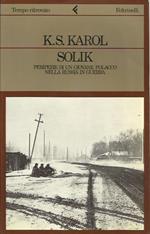 Solik. Peripezie di un giovane soldato polacco nella Russia in guerra