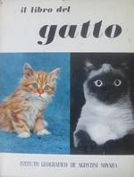 Il libro del gatto