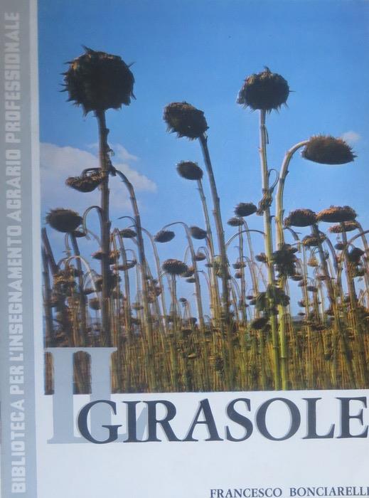 Il girasole