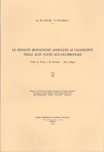 Le ofioliti mesozoiche associate ai calcescisti negli alti Tauri sud-occidentali (Valli di Vizze e di Fundres. Alto Adige)