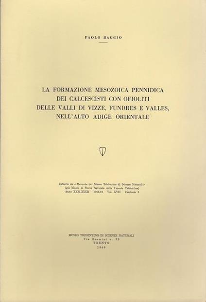 La formazione mesozoica pennidica dei calcescisti con ofioliti della Valli di Vizze, Fundres e Valles, nell’Alto Adige orientale - Paolo Baggio - copertina