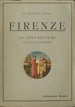 Firenze: Le chiese, I Palazzi, I tesori d’arte: Manuale per studiosi e turisti con 741 illustrazioni e una Tavola cronologica della famiglia de’ Medici. Le meraviglie d’Italia