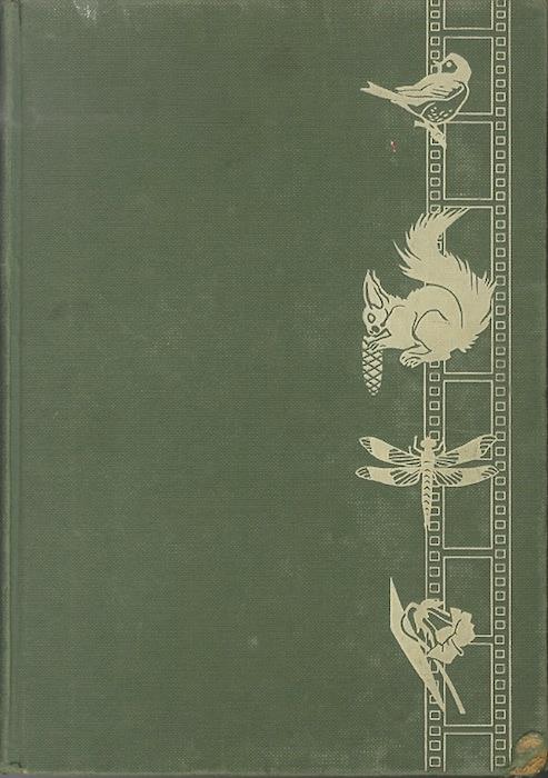 Fotografare la natura viva