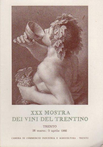 XXX Mostra dei vini del Trentino - copertina