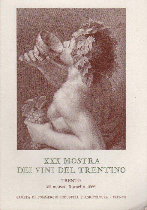 XXX Mostra dei vini del Trentino - copertina
