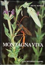 Montagna viva: il mondo degli insetti in Val di Fiemme (Trentino)