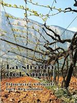 La strada del vino: itinerari viticoli nel Trentino