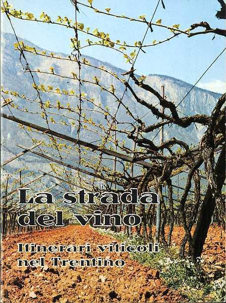 La strada del vino: itinerari viticoli nel Trentino - Silvio Ducati,Ferdinando Tonon - copertina