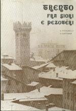 Trento fra siori e pezotéri: Stefano Bellesini e il primo risveglio sociale del Trentino (1796-1817). Presentazione del prof. Francesco De Vivo dell’Università di Padova Ricerche storiche e note bibliografiche di Giuseppina Gottardi