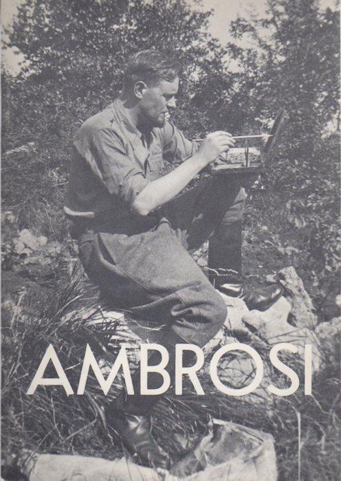 Elmo Ambrosi: quarant’anni di pittura