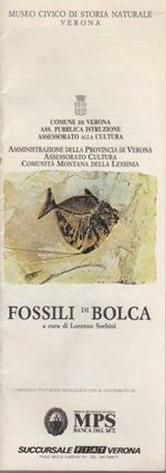 Fossili di Bolca. Comune di Verona, Ass. pubblica istruzione, assessorato alla cultura Amministrazione della Provincia di verona, Assessorato cultura, Comunità montana della Lessinia