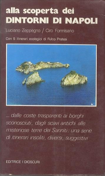Alla scoperta dei dintorni di Napoli: dalle coste trasparenti ai borghi sconosciuti, dagli scavi antichi alle misteriose terre dei sanniti - Luciano Zeppegno,Ciro Formisano - copertina