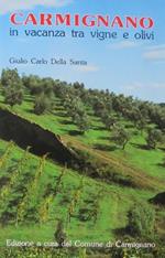 Carmignano: in vacanza tra vigne e olivi