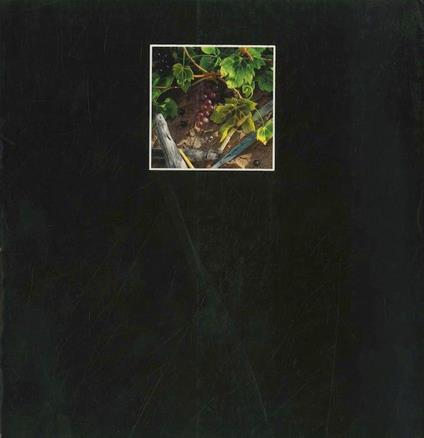 Masetto 1993: Cantina Endrizzi - Luigi Serravalli,Giovanna Nicoletti - copertina