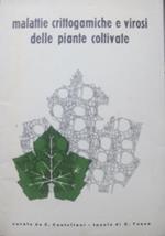 Malattie crittogamiche e virosi delle piante coltivate. Tavole di U. Tosco. Edito dalla Shell italiana, SPA
