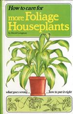 How to Care For More Foliage Houseplants