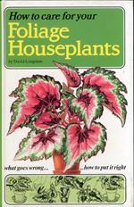 How to Care For Your Foliage Houseplants